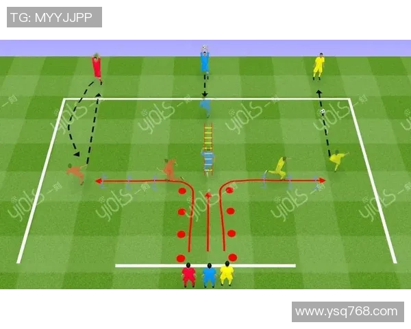 提升足球技能的全面指南从基础技巧到高级战术的系统教学